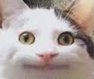 屏幕截图 2026-02-11 114148.png